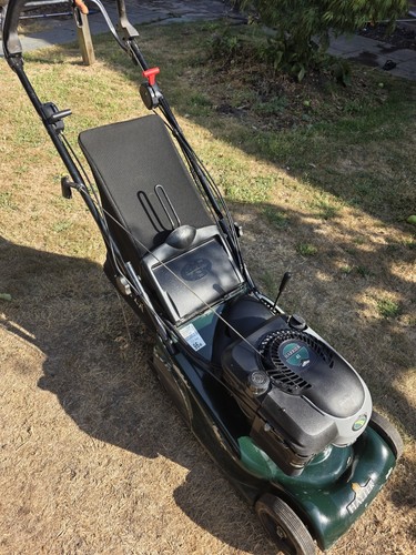 Hayter harrier self - harrier,