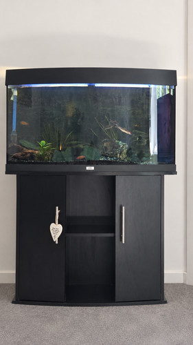 Juwel vision 180 curved - juwel,