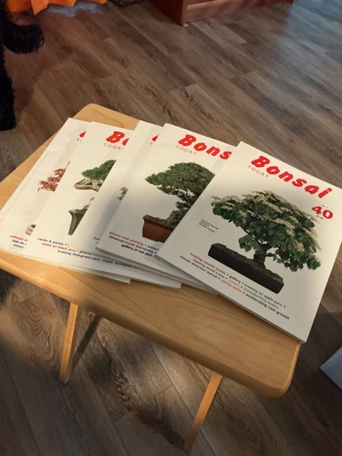 Bonsai today magazine full - bonsai,