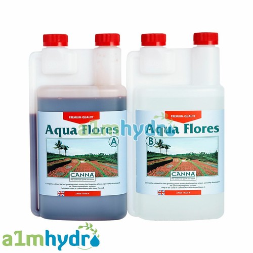 Canna aqua flores litre - flores,