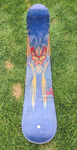 Salomon fastback 163cm - salomon,