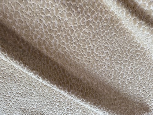 Harlequin lucana sand - lucana,