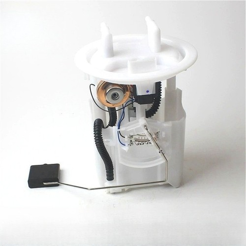 Fuel pump module assembly for - fuel,