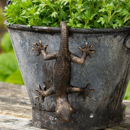 Gecko figurine plant - plant, pot