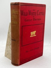 Wild White Cattle Great