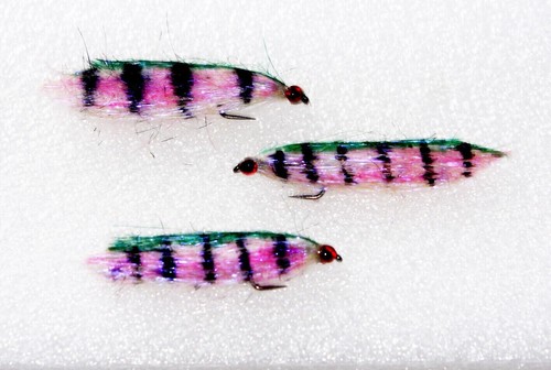 Rainbow flies barbless - flies,