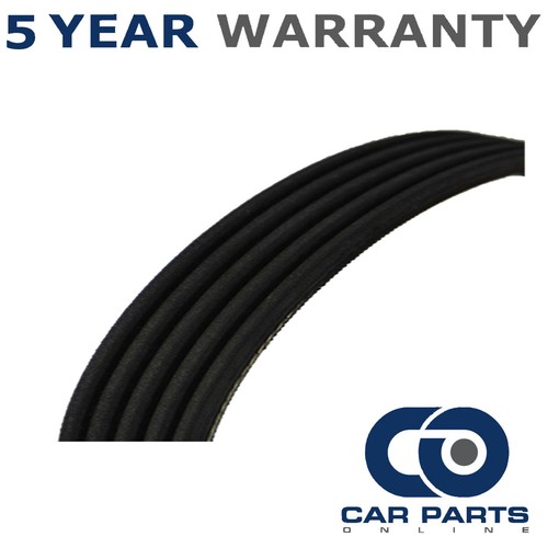 Ribbed drive belt cpo - ribbed,