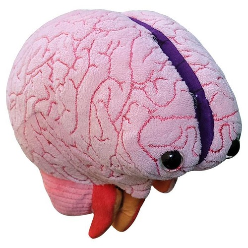 Giant microbes brain model - microbes,