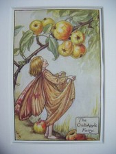 Vintage Flower Fairies Print &