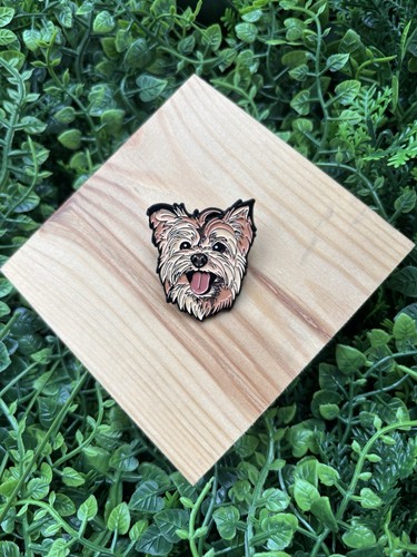 Yorkie yorkshire terrier - yorkie,