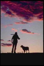 628058 Bird Hunter With Brittany Spaniel A4 Photo Print