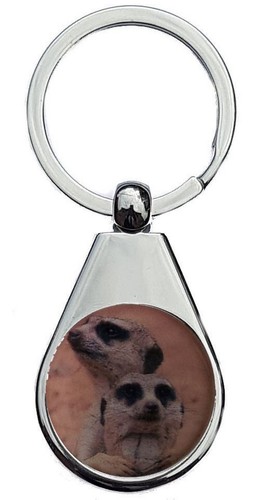 Meerkats chrome polished - meerkats,