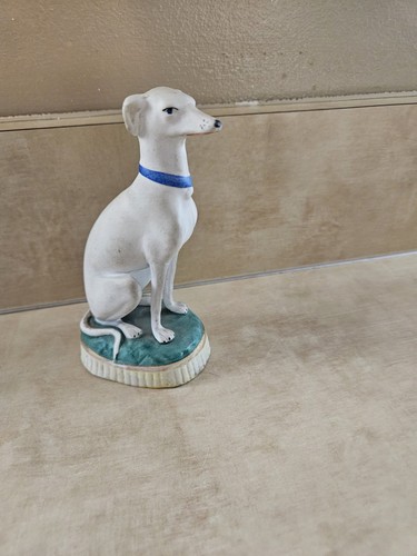 Whippet italian greyhound dog - greyhound,