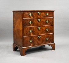 Antique Burr Walnut Chest of Drawers
