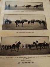 K1c Ephemera 1900 Picture Horse Racing Newmarket 