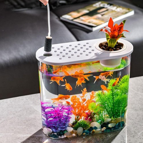 Small desktop aquarium - desktop, mini