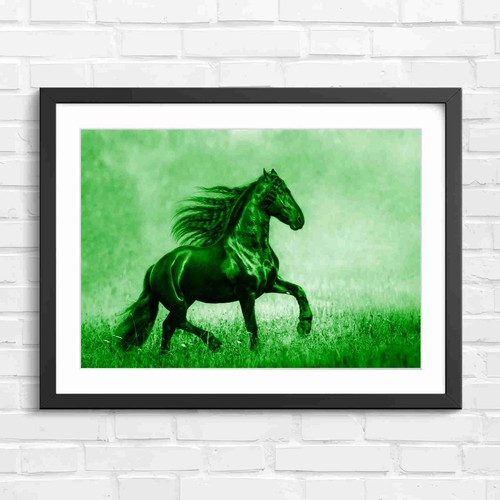 Running black horse field - running, in