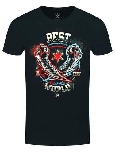 Wwe punk best - in, the