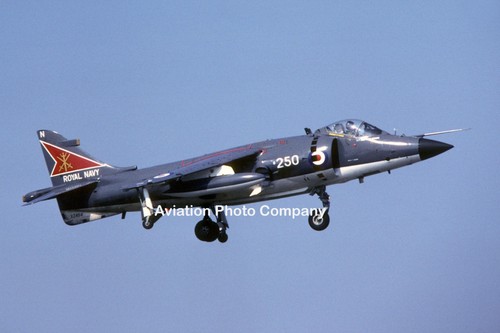 Royal navy 800 squadron - navy,