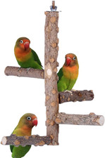 Natural wood bird perch - wood,