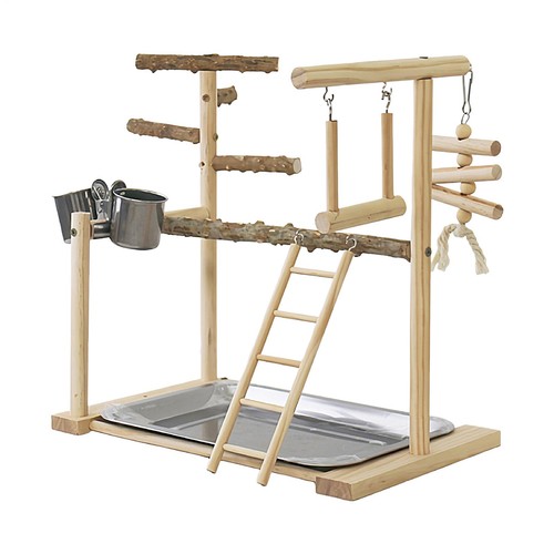 Parrot playstand bird - parrot,