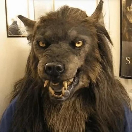 Super realistic werewolf mask - realistic,