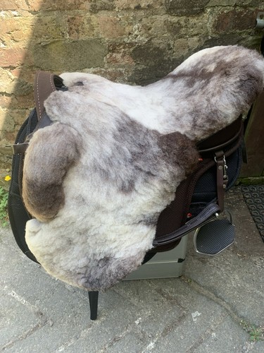 Ghost cavallin treeless - ghost,