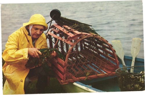 Atlantic coast fisherman - atlantic,