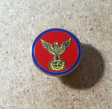 UNUSUAL EAGLE INSIGNIA ENAMEL