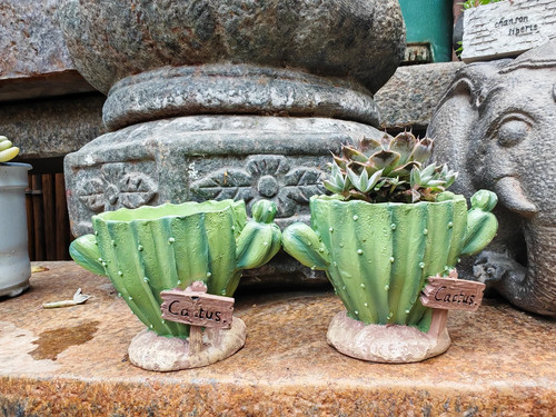 Cactus flower planter - planter, cute