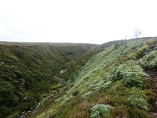 Photo A3 Brook at Near Black