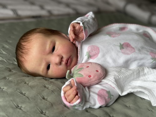 Reborn baby doll sole ellie - sole,