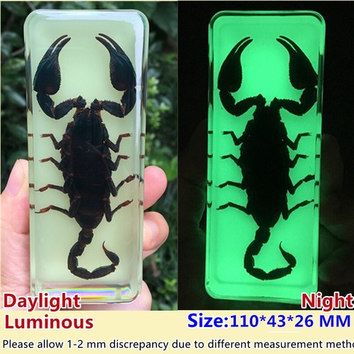 1pc insect resin luminous - 1pc,