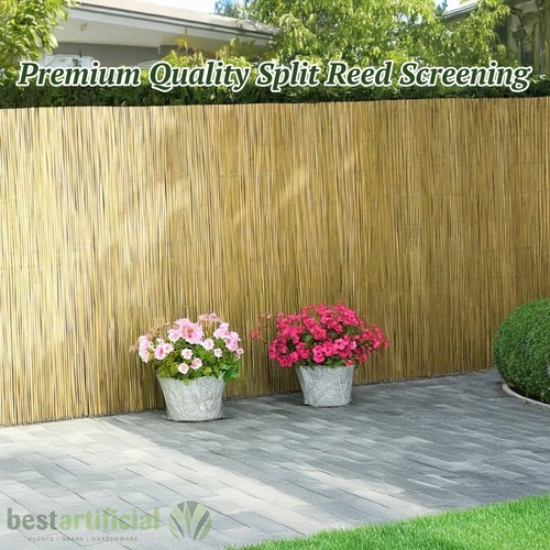 Reed fencing split - fencing,