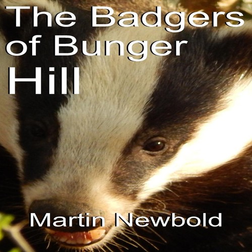 The badgers bunger hill - the,