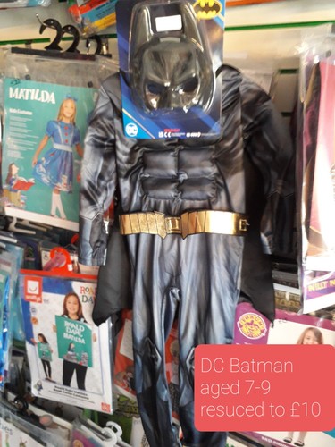 Childrens fancy dress costumes - fancy,