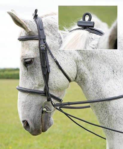 Shires elastic training reins - elastic,