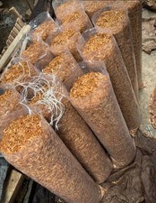 Full Bag- Whole Oron Crayfish