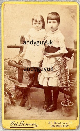 Cdv oswestry george bonner - oswestry,