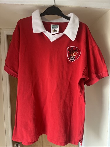 Bristol city football - city,