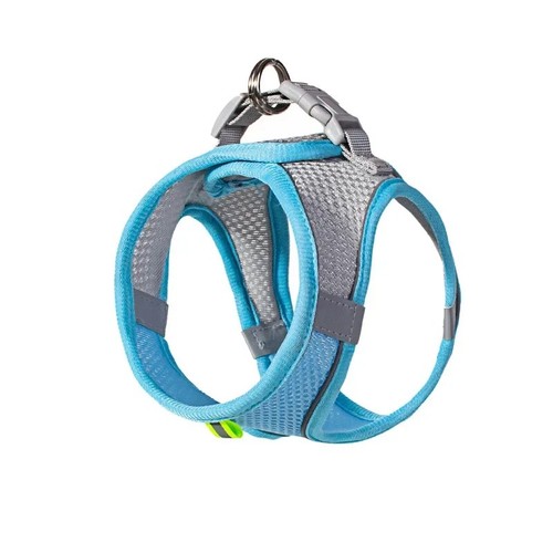 Puppy harness set dog - puppy,