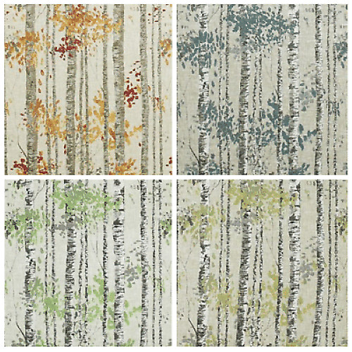 Belfield home birch tree - home,