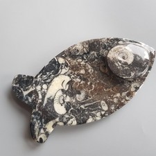 Fish Fossil Trinket Dish