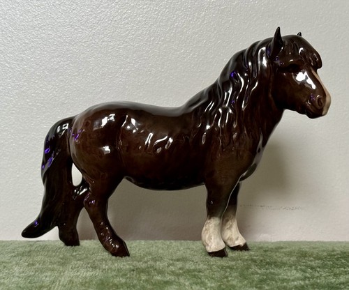 Beswick woolly shetland - beswick, mare