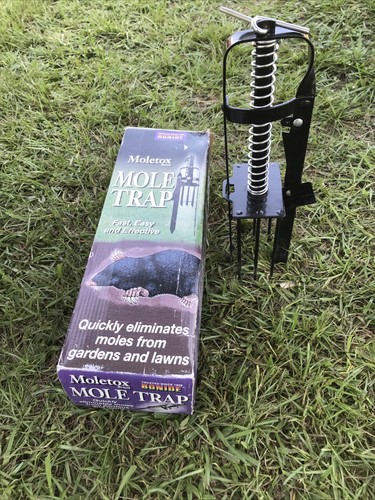 Plunger style mole - mole, trap