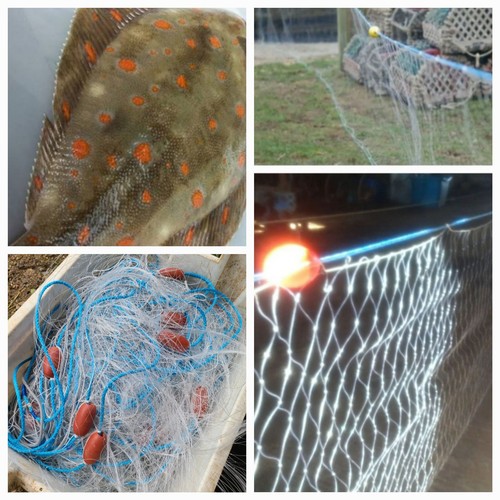 Gill net plaice - plaice,