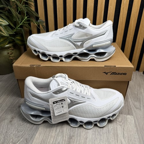 Mizuno wave prophecy - wave,