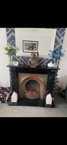 Cast iron fire insert with - fire, gas