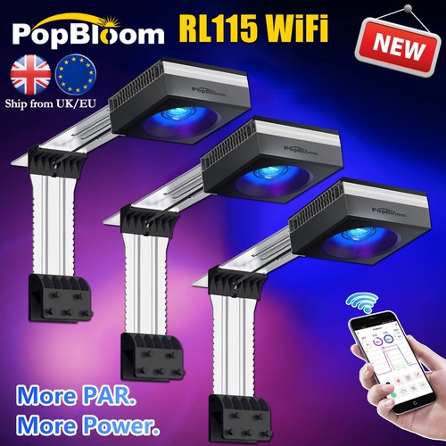 Popbloom 3pcs rl115 - rl115, marine