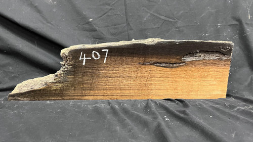 Bog oak mantle - ,, rare